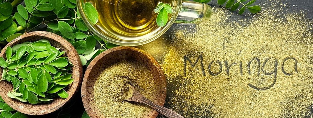 Moringa Hakkında Her Şey